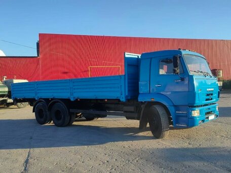 2009 КамАЗ 65117, голубой, 2299000 рублей, вид 2