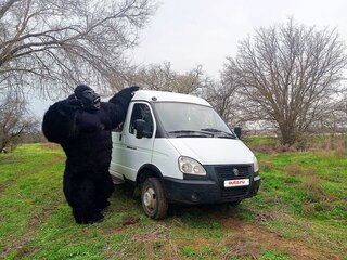 2013 ГАЗ ГАЗель (3302), белый, 500000 рублей, вид 3