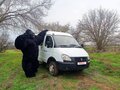 2013 ГАЗ ГАЗель (3302), белый, 500000 рублей - вид 2