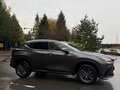 2022 Lexus NX 350 II, серый, 4790000 рублей - вид 10
