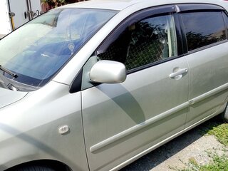 2004 Toyota Corolla IX (E120, E130) Рестайлинг, серый, 650000 рублей, вид 2