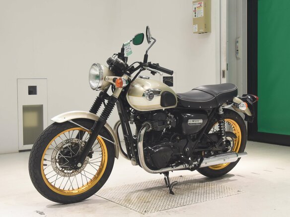 2015 Kawasaki W 800, бежевый, 680000 рублей - вид 3