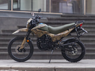 2025 Racer Panther, зелёный, 143750 рублей, вид 2