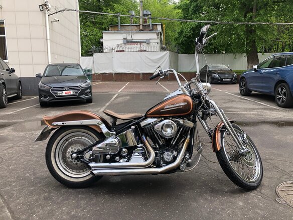 1991 Harley-Davidson Springer Softail, коричневый, 1500000 рублей - вид 2