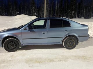 2008 Skoda Octavia I (A4) Рестайлинг, серый, 370000 рублей, вид 4