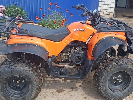 2024 Promax ATV 300, оранжевый, 160000 рублей, вид 2