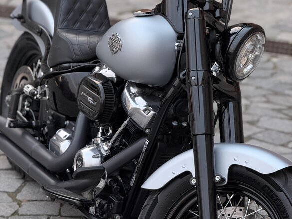 2020 Harley-Davidson Softail Slim, серебристый, 1700000 рублей - вид 14