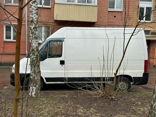 2010 Fiat Professional Ducato, белый, 950000 рублей, вид 3