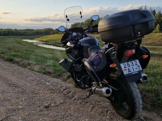 2009 Yamaha TDM900, чёрный, 509429 рублей, вид 3
