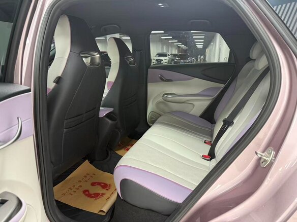 2026 BYD Dolphin, розовый - вид 13