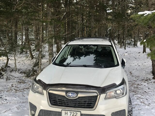 2019 Subaru Forester V, белый, 2630000 рублей, вид 2