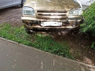 2004 Chevrolet Niva I, бежевый, 230000 рублей, вид 1