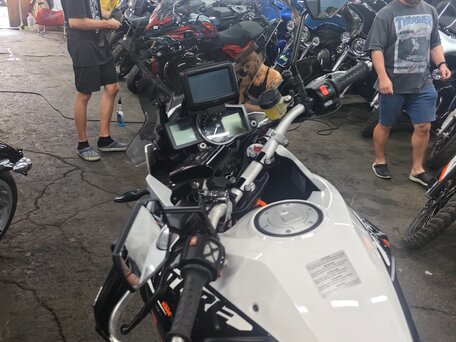 2015 KTM 1190 Adventure R, белый, 750000 рублей, вид 3