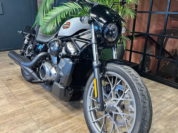 2023 Harley-Davidson Nightster, серый, 1490000 рублей - вид 12