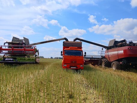 2013 КамАЗ 6520, оранжевый, 1650000 рублей, вид 1