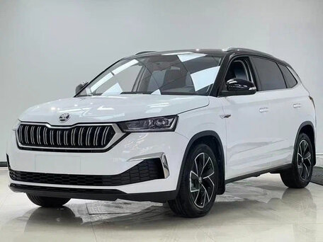 Skoda Kamiq I
