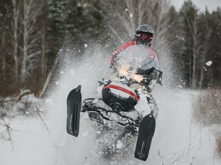 2025 AODES (Odes) Snowcross 1000, бежевый, 999000 рублей, вид 3