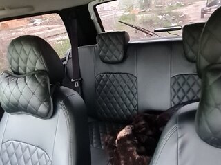 2024 Lada (ВАЗ) Niva Legend I, белый, 950000 рублей, вид 4