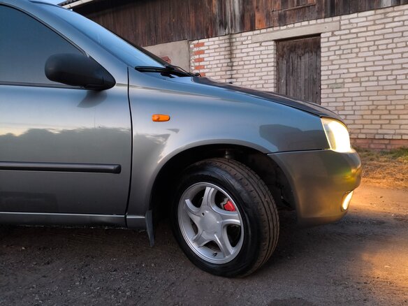 2008 Lada (ВАЗ) Kalina I, серый - вид 19