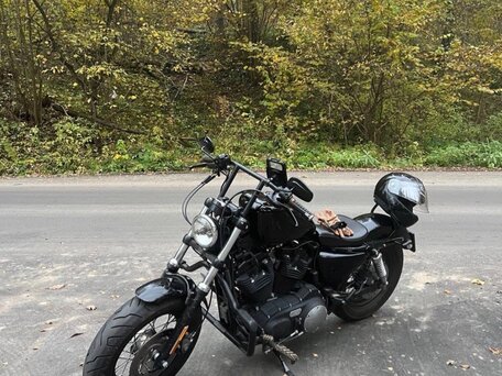 2012 Harley-Davidson Sportster 1200, чёрный, 610000 рублей, вид 2