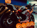 2014 Kawasaki Ninja 300, белый, 400000 рублей - вид 4