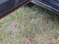 2005 Lada (ВАЗ) 2110, красный, 100000 рублей - вид 6