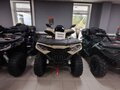2026 Loncin XWolf 1000, бежевый, 1164000 рублей - вид 1