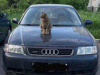2000 Audi A3 I (8L), синий, 250000 рублей, вид 2