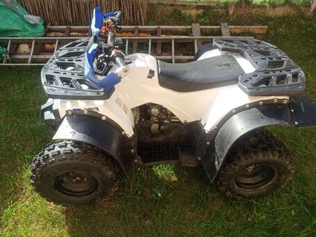 2023 Stels ATV-110, белый, 85000 рублей, вид 3