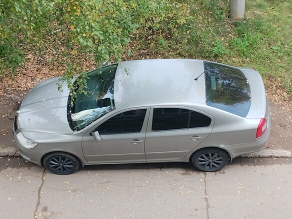2011 Skoda Octavia II (A5) Рестайлинг, серый - вид 8