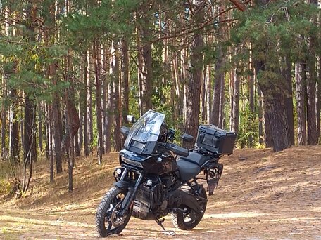 2021 Harley-Davidson Pan America, чёрный, 1300000 рублей, вид 2