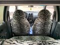 2012 Daewoo Matiz I Рестайлинг, чёрный, 320000 рублей - вид 3