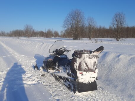 2005 Yamaha VK Professional, серебристый, 810000 рублей, вид 2