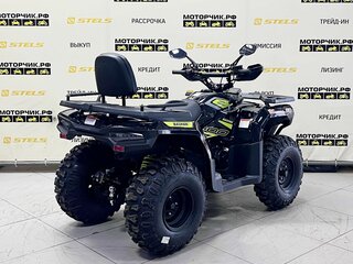 2025 Bashan Explorer 300, чёрный, 299000 рублей, вид 5