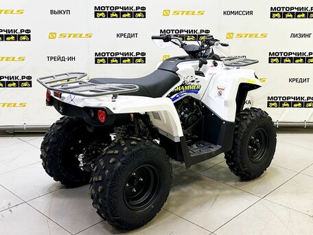 2025 Bison ATV200, белый, 219000 рублей, вид 5