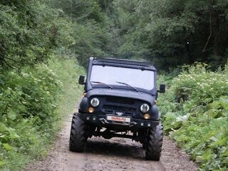 1994 УАЗ 3151, чёрный, 650000 рублей, вид 2