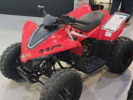 2024 CFMoto CFORCE 110, красный, 299900 рублей, вид 2