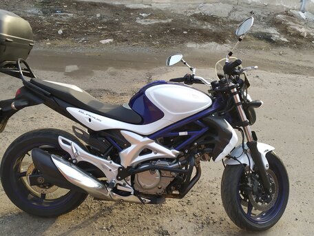 2010 Suzuki SFV 650 Gladius, белый, 350000 рублей, вид 2