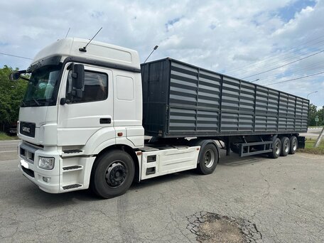 2014 КамАЗ 5490 NEO, белый, 4200000 рублей, вид 2