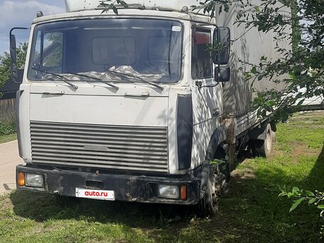 2005 МАЗ 4370, белый, 500000 рублей, вид 2