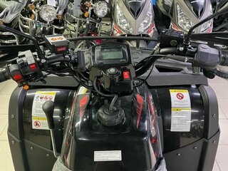 2025 Rato Rush 250, чёрный, 275400 рублей, вид 1