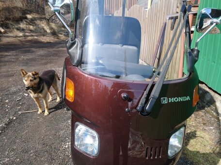 2016 Honda Gyro, пурпурный, 195000 рублей, вид 4