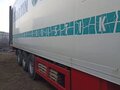 1991 Schmitz Cargobull SKO, белый - вид 2
