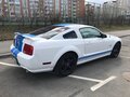 2005 Ford Mustang V, белый - вид 4