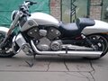 2009 Harley-Davidson V-Rod Muscle, серый - вид 1