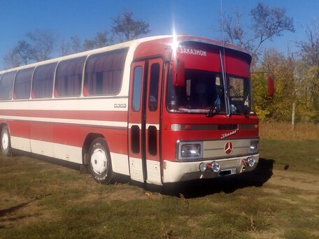 1976 Mercedes-Benz O 303, красный, 700000 рублей, вид 1