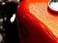 2010 Harley-Davidson Sportster 883, оранжевый, 600000 рублей - вид 4