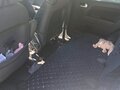2007 Ford Fusion I Рестайлинг, серебристый, 650000 рублей - вид 8