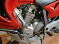 2001 Honda XL650V Transalp, красный - вид 2