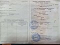 2012 Fiori DB 180, жёлтый, 3800000 рублей - вид 5